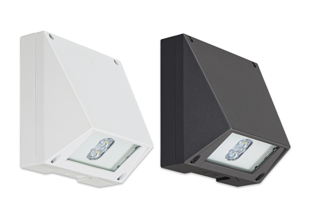 SAFE W-2R