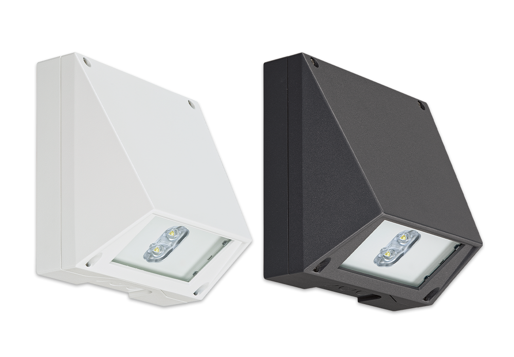 SAFE W-2F
